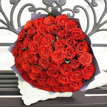 Красная роза Эквадор 51 шт код товара  131076