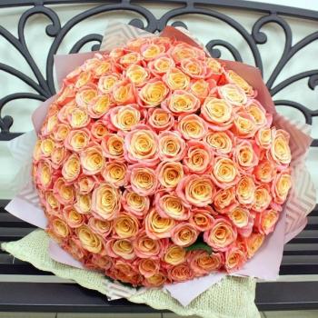 Букет Оранжевые розы Эквадор 101 шт (50 см) артикул: 131384krg